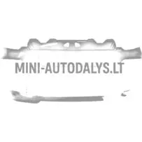Priekinis bamperis Ligier JS50/JS50L Sport Ph2/Ph3
