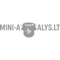 Guminė radiatoriaus atrama Ligier / Microcar / JDM / Bellier