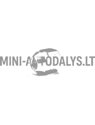Ratų veržlė lengvojo lydinio ratlankiams M10x1,5