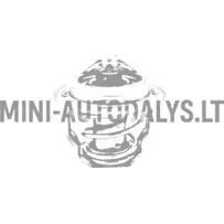 Termostatas Aixam Kubota