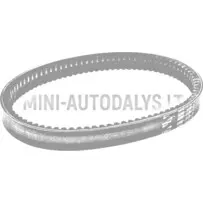 Pavaros diržas Aixam 3ARP023 AD52-2172-S