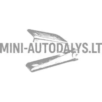 Priekinis dešinysis variklio dangčio lankstas Ligier JS50 / JS50L Ph2 / Ph3