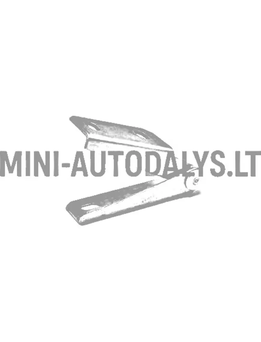 Priekinis dešinysis variklio dangčio lankstas Ligier JS50 / JS50L Ph2 / Ph3