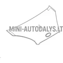Dangtis Microcar M8