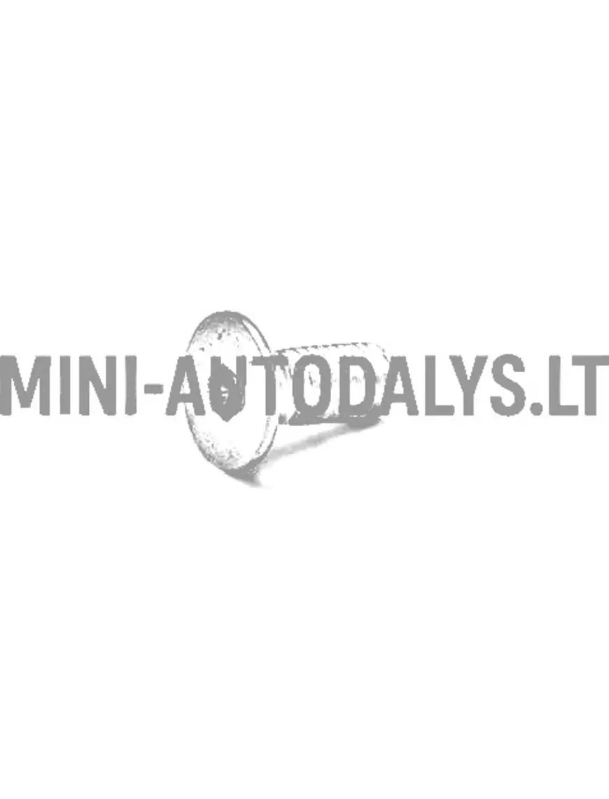 Ratų stebulės tvirtinimo varžtas - stabdžių diskas Aixam / Grecav
