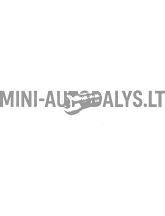 Galinio stabdžių disko tvirtinimo varžtas (M6x16)