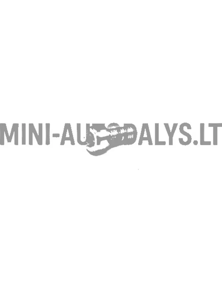 Galinio stabdžių disko tvirtinimo varžtas (M6x16)