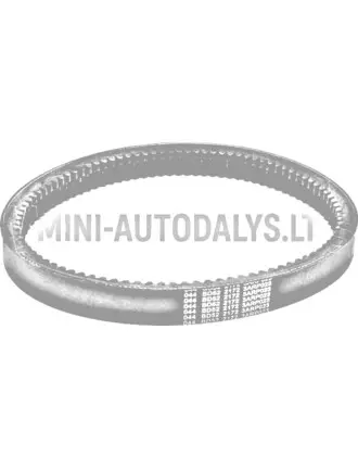 Pavaros diržas 044 ECO Aixam BD52-2172