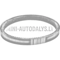 Pavaros diržas 044 ECO Aixam BD52-2172