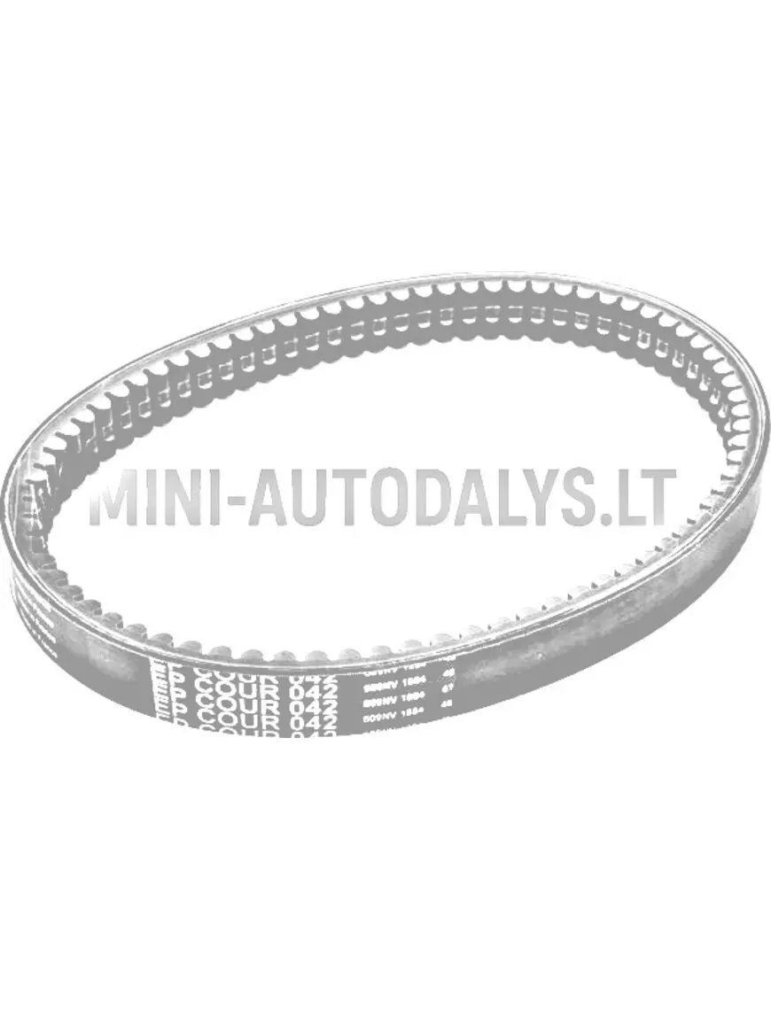 Pavaros diržas EPCOUR042 3MDP23A