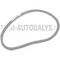 V formos diržas Lombardini 442 / 480 / 492 DCI (10x665 mm)