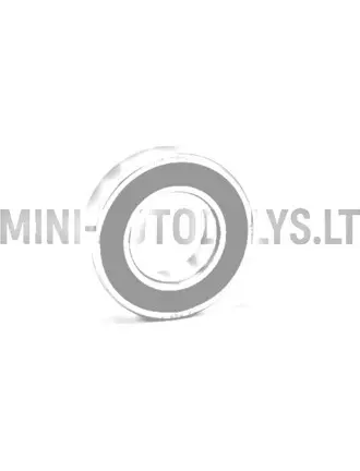 Galinio rato guolis 6005 SKF