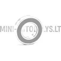 Galinio rato guolis 6005 SKF