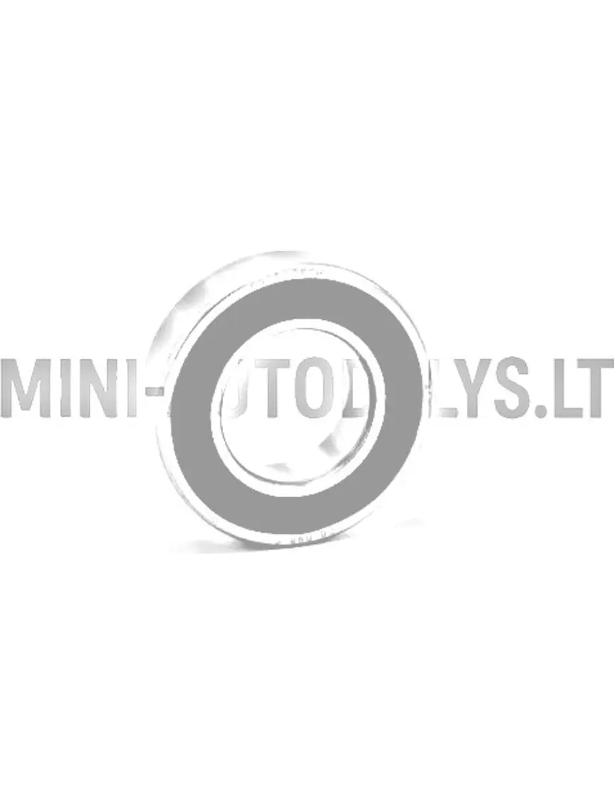 Galinio rato guolis 6005 SKF