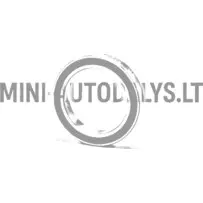 Laisvojo rato guolio sankabos variklio pusė