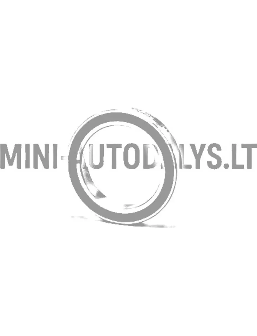 Laisvojo rato guolio sankabos variklio pusė