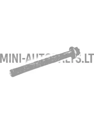 Galvos varžtas Lombardini 502 Progress / FOCS