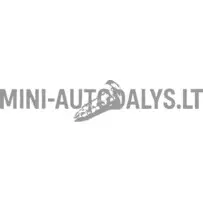 Aušinimo ventiliatoriaus tvirtinimo varžtas - radiatorius Ligier / Microcar / JDM / Bellier