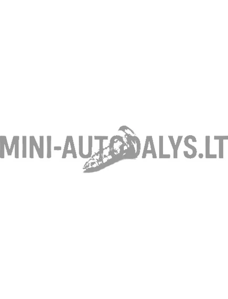 Aušinimo ventiliatoriaus tvirtinimo varžtas - radiatorius Ligier / Microcar / JDM / Bellier