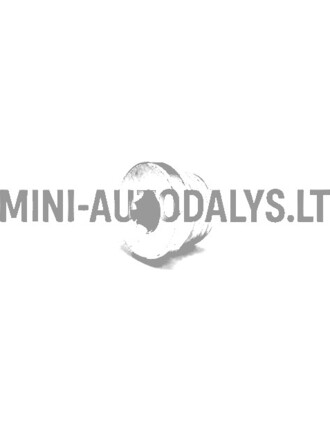 Lombardini alyvos išleidimo kamštis