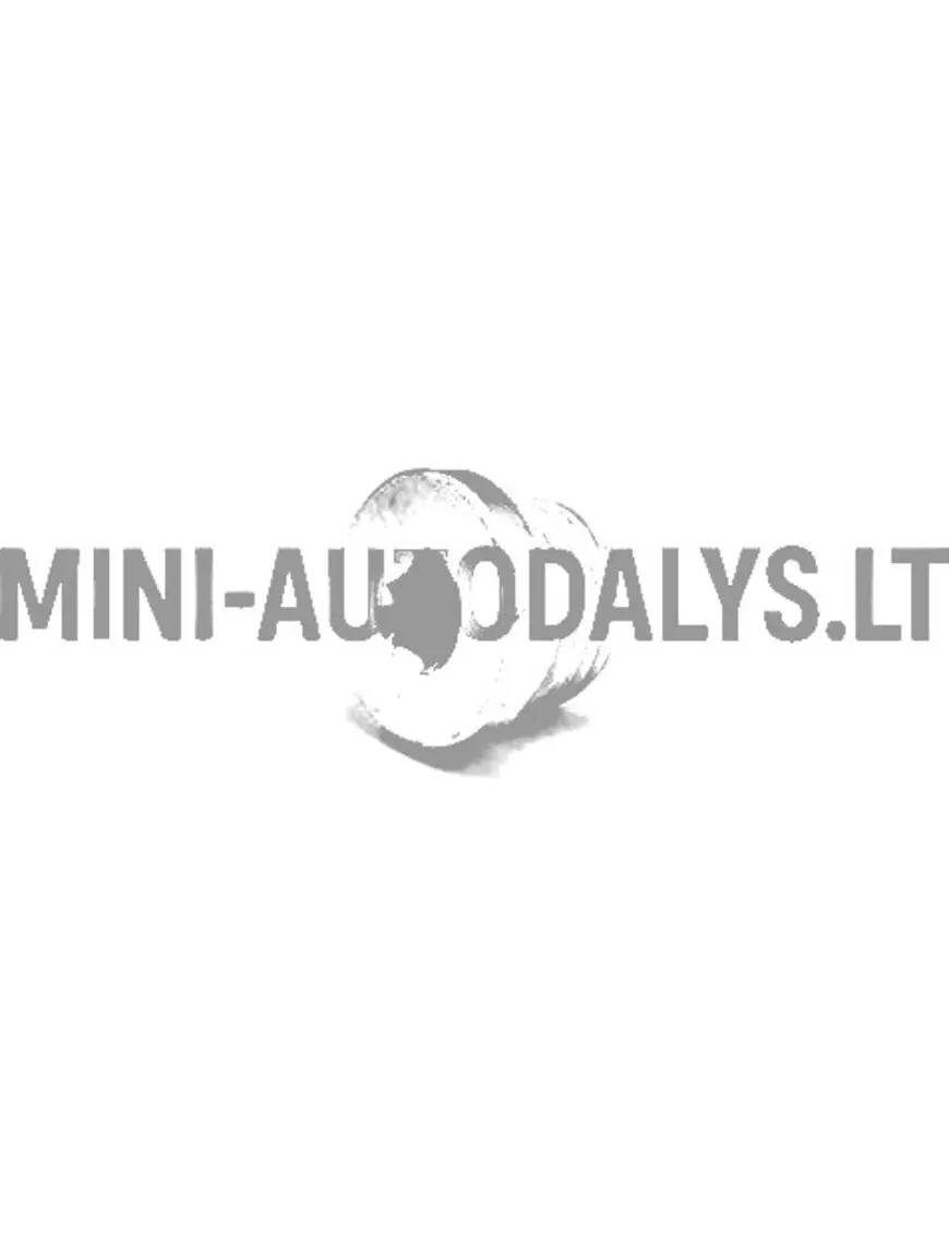 Lombardini alyvos išleidimo kamštis