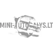 Stabdžių šviesos jungiklio pagrindinis cilindras