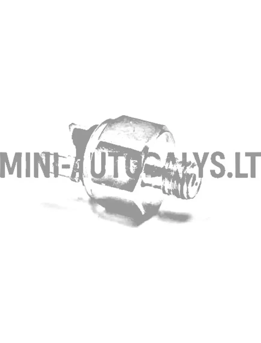 Stabdžių šviesos jungiklio pagrindinis cilindras