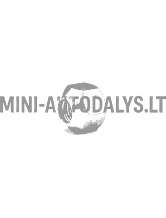 Ratų veržlė plieninis ratas Aixam 1997-2015