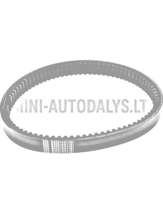 Pavaros diržas 029 Eco B3221AA1181