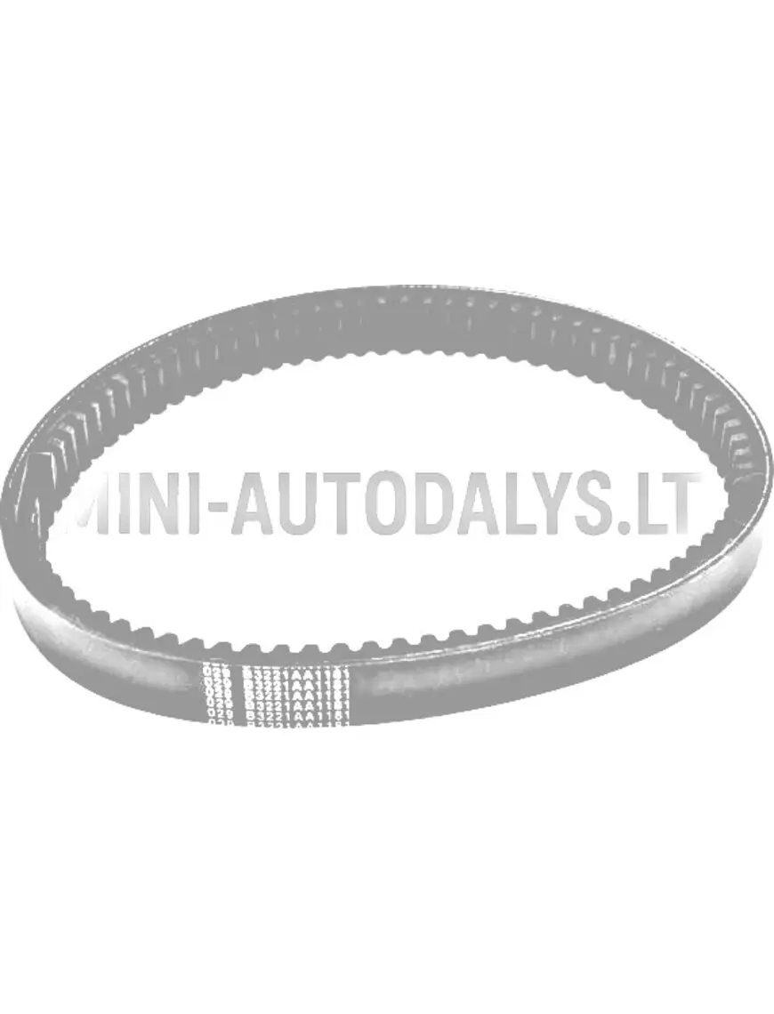 Pavaros diržas 029 Eco B3221AA1181