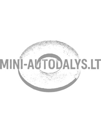 Sandarinimo žiedo tvirtinimo varžtas bakvario Aixam / Grecav