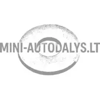 Sandarinimo žiedo tvirtinimo varžtas bakvario Aixam / Grecav