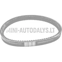 Pavaros diržas 043 Eco BD52-2183