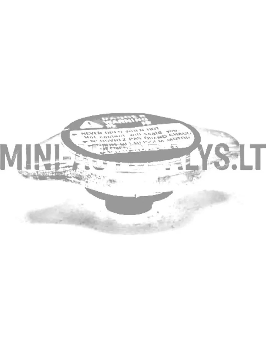 Radiatoriaus dangtelis Aixam 1997-2015