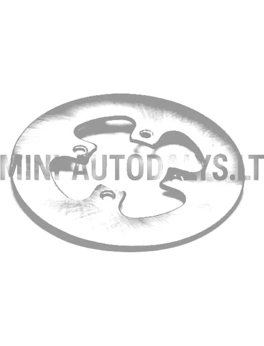 Galinis stabdžių diskas Ligier / JDM / Microcar 1002147 (Ø 170 mm)