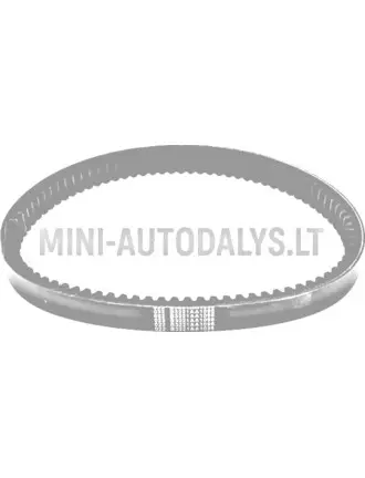Pavaros diržas 022 ECO Aixam B1211AA1096
