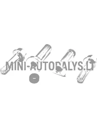 Kreipiančiųjų kaiščių rinkinys galinis stabdžių suportas Microcar / Ligier