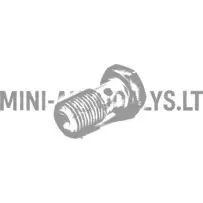 Banjo varžtas stabdžių žarna (M10x100)