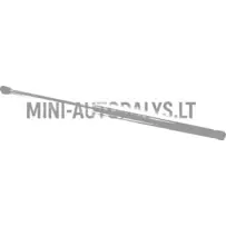 Galinių durelių amortizatorius Ligier JS50 / JS50L