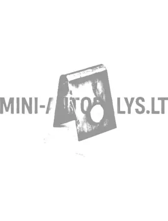 Pavasarinės galinių stabdžių trinkelės Ligier
