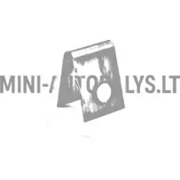 Pavasarinės galinių stabdžių trinkelės Ligier