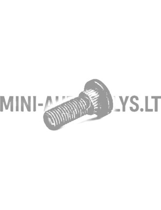 Ratų varžtas Aixam / MEGA / Minauto