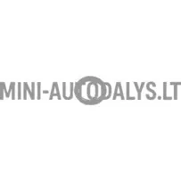 Žiedinis purkštuvas / degalų galerija Lombardini 502 FOCS / Progress