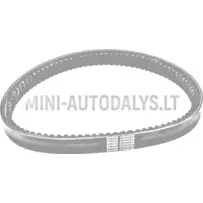 Pavaros diržas 038 ECO Aixam B3211AA1103