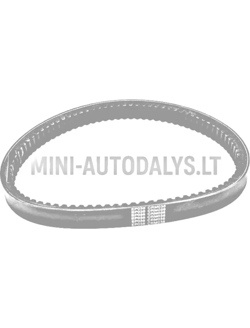 Pavaros diržas 038 ECO Aixam B3211AA1103