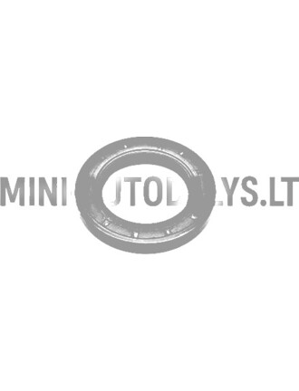 Alyvos sandariklis alkūninio veleno paskirstymo pusėje Lombardini 502 FOCS / Progress