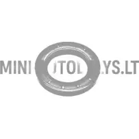 Alyvos sandariklis alkūninio veleno paskirstymo pusėje Lombardini 502 FOCS / Progress