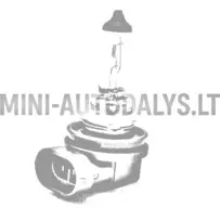 Rūko žibintas H11