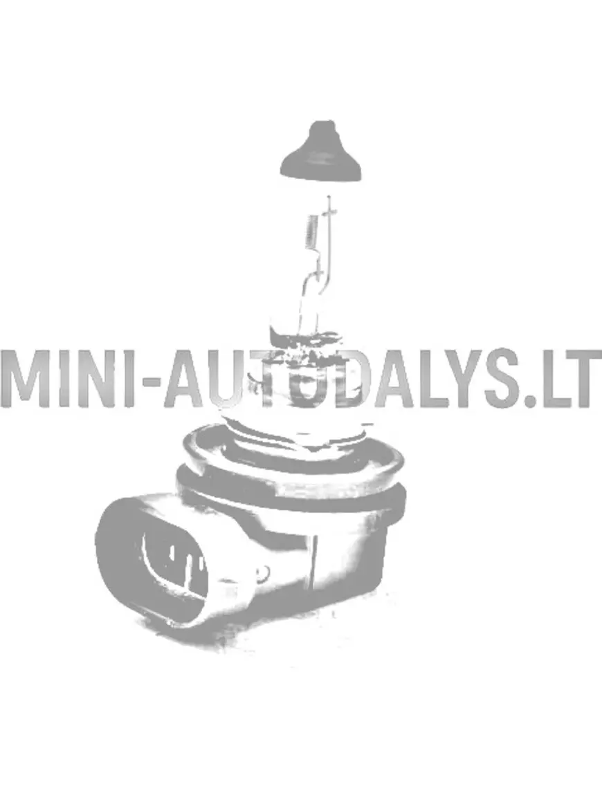 Rūko žibintas H11