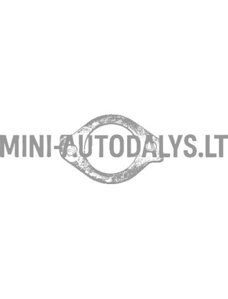 Termostato korpuso tarpiklis Yanmar
